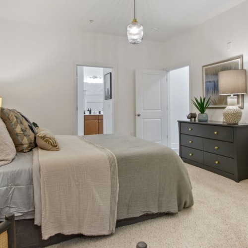 a bedroom with a bed and a dresser